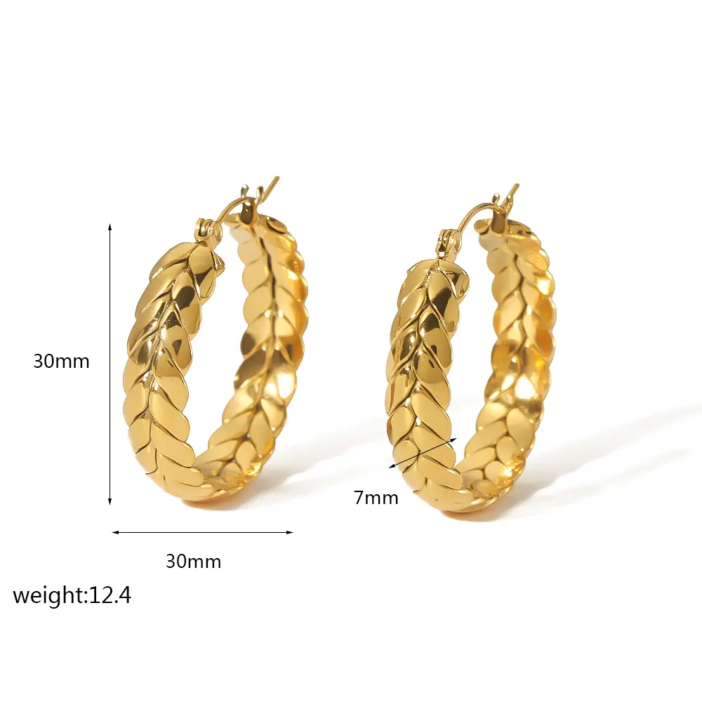 1 Pair Daily Geometric Stainless Steel 18K Gold Plated Women's Hoop Earrings h5 Picture2